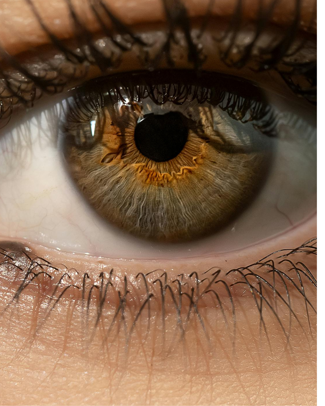 Close-up of a hazel eye with a golden-brown iris and visible upper and lower eyelashes.