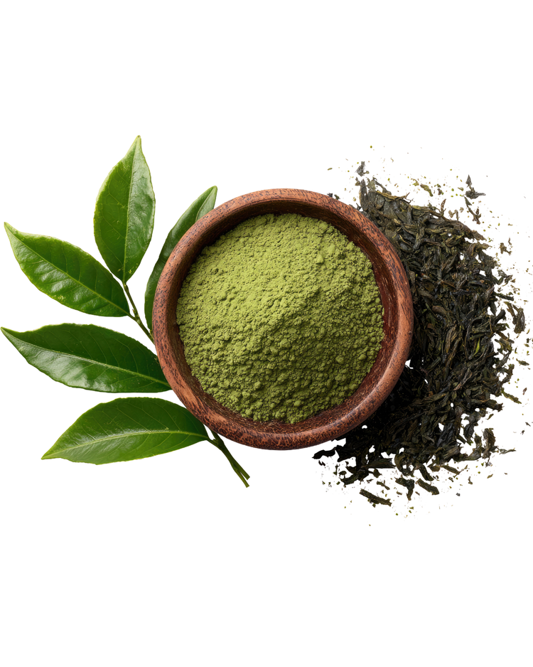 Dried green tea leaves and loose tea representing one ingredient, Green Tea Extract (Camellia Sinensis), in Stay Clear  Deep Dive Hydration Serum, an antioxidant that soothes inflammation and protects against environmental stress.

