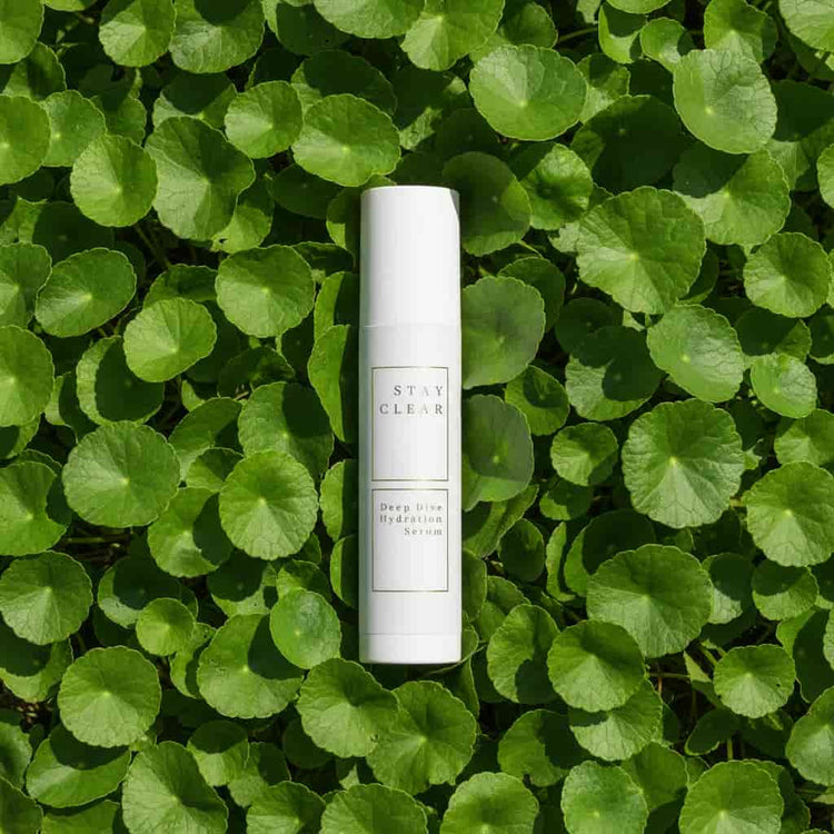 Stay Clear Beauty Deep Dive Hydration Serum surrounded by fresh Centella Asiatica leaves on a botanical flat lay — hydrating serum for dehydrated skin, acne-prone skin, and compromised skin barrier.
