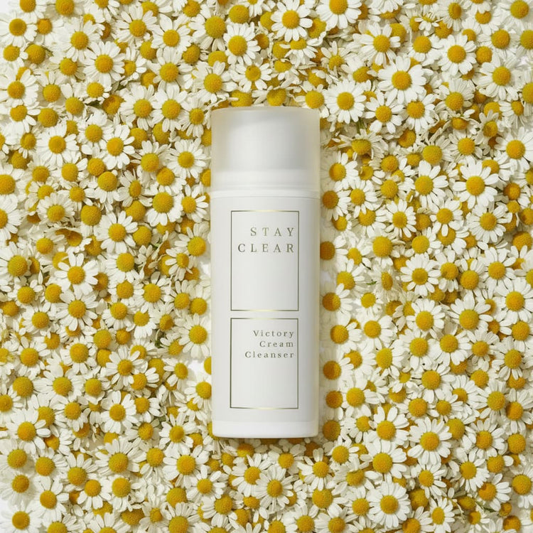 Stay Clear Beauty Victory Cream Cleanser nestled among fresh chamomile flowers highlighting chamomile extract as a key calming ingredient — cream cleanser for sensitive skin, acne-prone skin, redness, irritation, and skin barrier repair.
