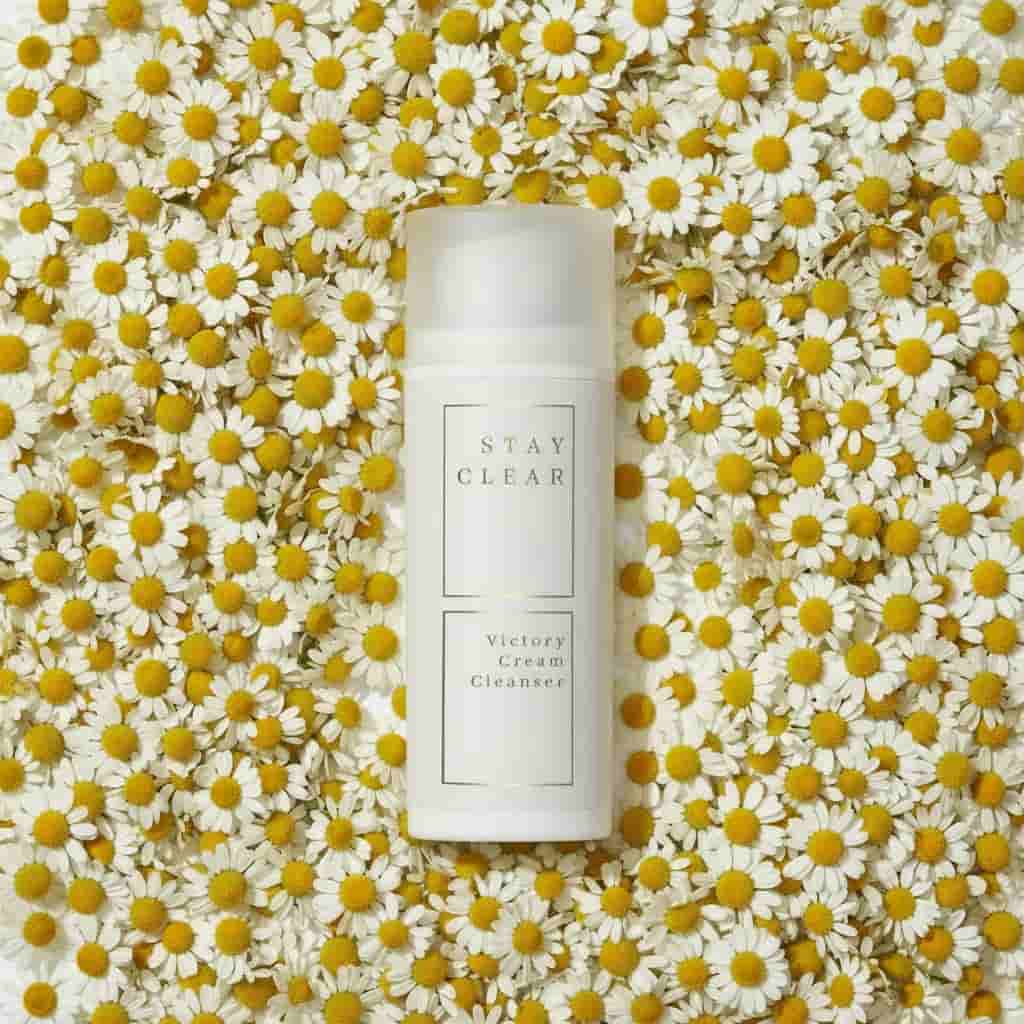 Stay Clear Beauty Victory Cream Cleanser nestled among fresh chamomile flowers highlighting chamomile extract as a key calming ingredient — cream cleanser for sensitive skin, acne-prone skin, redness, irritation, and skin barrier repair.
