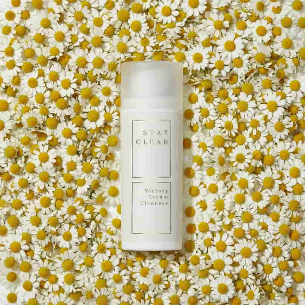 Stay Clear Beauty Victory Cream Cleanser nestled among fresh chamomile flowers highlighting chamomile extract as a key calming ingredient — cream cleanser for sensitive skin, acne-prone skin, redness, irritation, and skin barrier repair